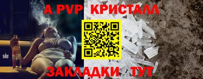 шишки Можга