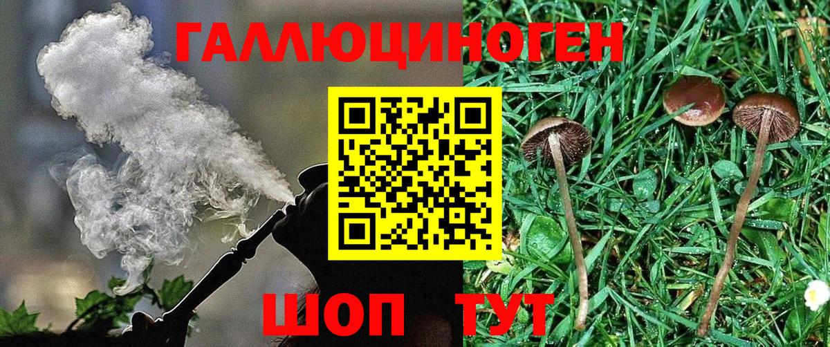 Псилоцибиновые грибы Cubensis Еманжелинск